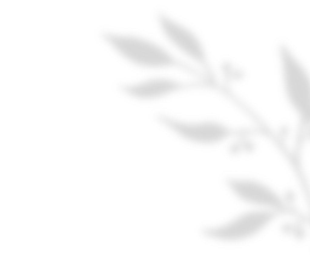 https://cliophotography.com/wp-content/uploads/2020/11/shadow_leaves_01.png